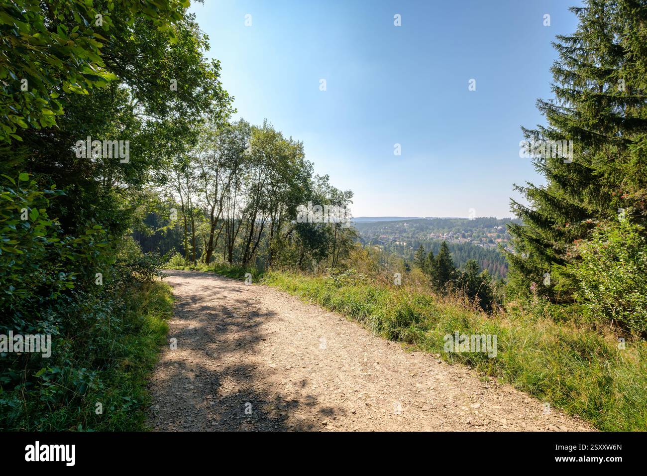 Der Rundweg im Grumbachtal im Harz (Niedersachsen, Deutschland) bietet einen herrlichen Blick auf Berge und Seen. Stockfoto