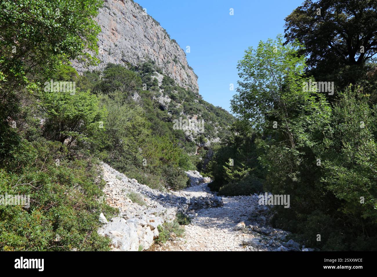 Wanderweg zum Strand Cala Goloritze in Baunei (Provinz Ogliastra) auf Sardinien. Stockfoto
