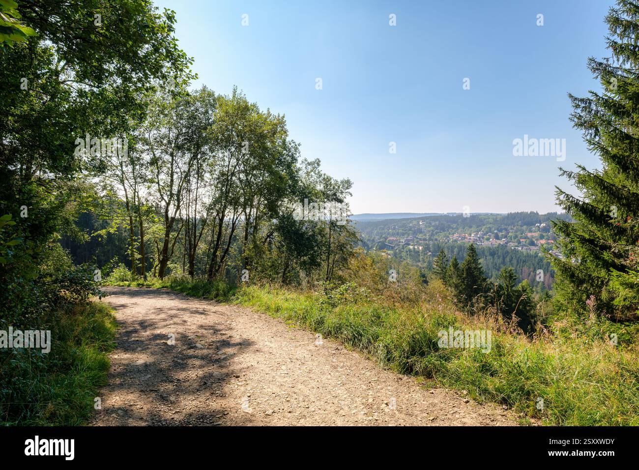 Der Rundweg im Grumbachtal im Harz (Niedersachsen, Deutschland) bietet einen herrlichen Blick auf Berge und Seen. Stockfoto
