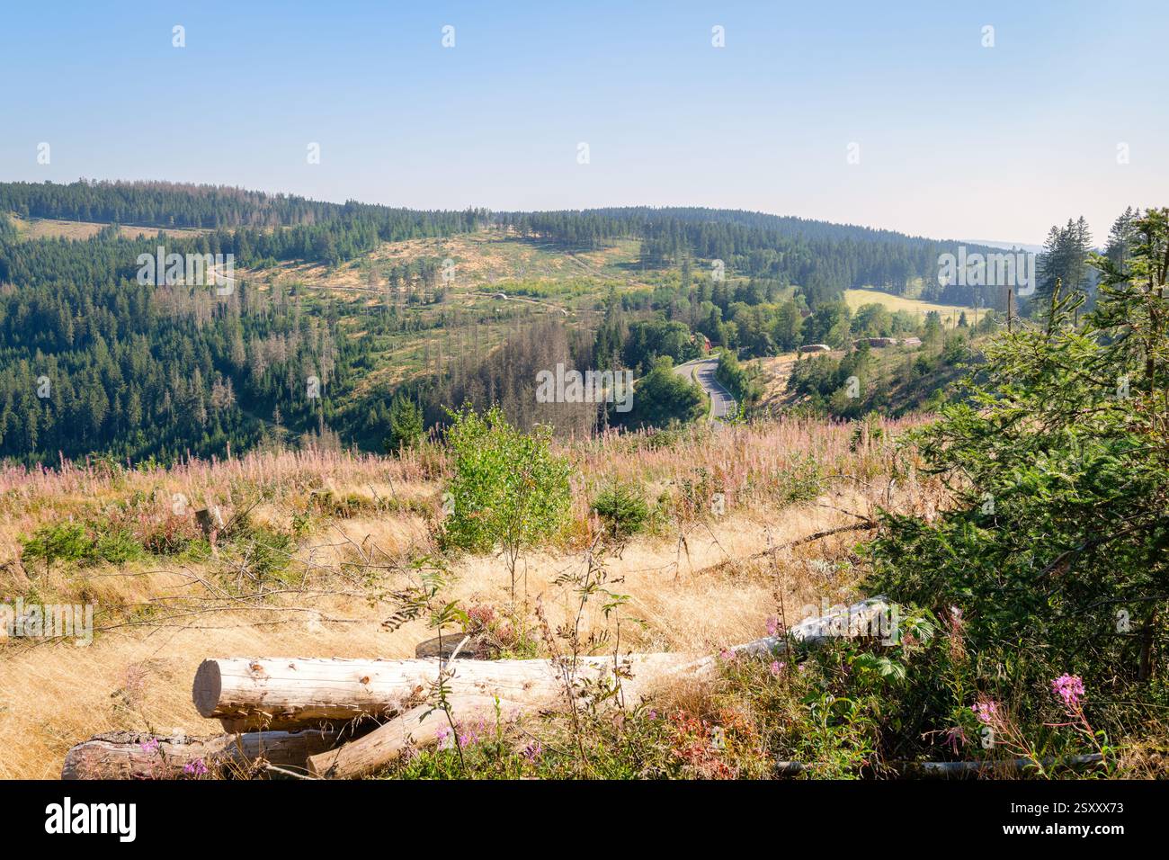 Der Rundweg im Grumbachtal im Harz (Niedersachsen, Deutschland) bietet einen herrlichen Blick auf Berge und Seen. Stockfoto