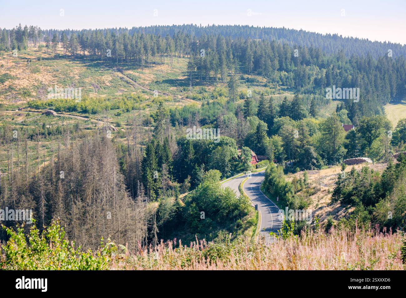 Der Rundweg im Grumbachtal im Harz (Niedersachsen, Deutschland) bietet einen herrlichen Blick auf Berge und Seen. Stockfoto
