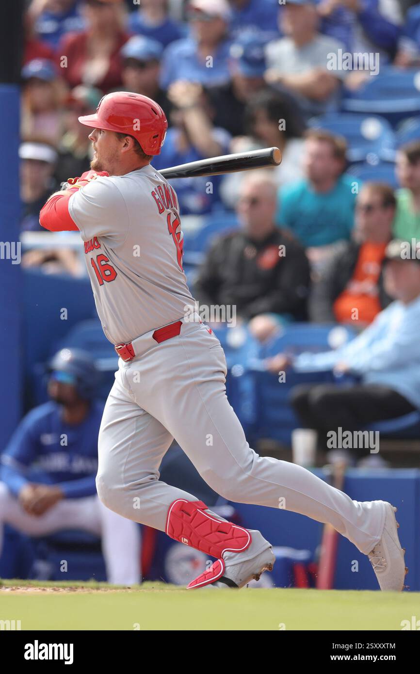 Dunedin, FL: St. Louis Cardinals 2. Basis Nolan Gorman (16) wird während eines MLB Spring Training Spiels am Dienstag, den 25. Februar 2025, im TD Ballpark zu Toronto Blue Jays 1. Basis will Wagner (7). Die Blue Jays schlugen die Cardinals mit 3:2. (Kim Hukari/Bild des Sports) Stockfoto