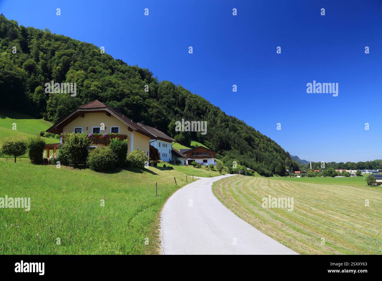 Österreichischer Sommer. Landschaften in der Nähe von Salzburg - Dorf Golling und der Salzach. Sonniger Tag. Stockfoto