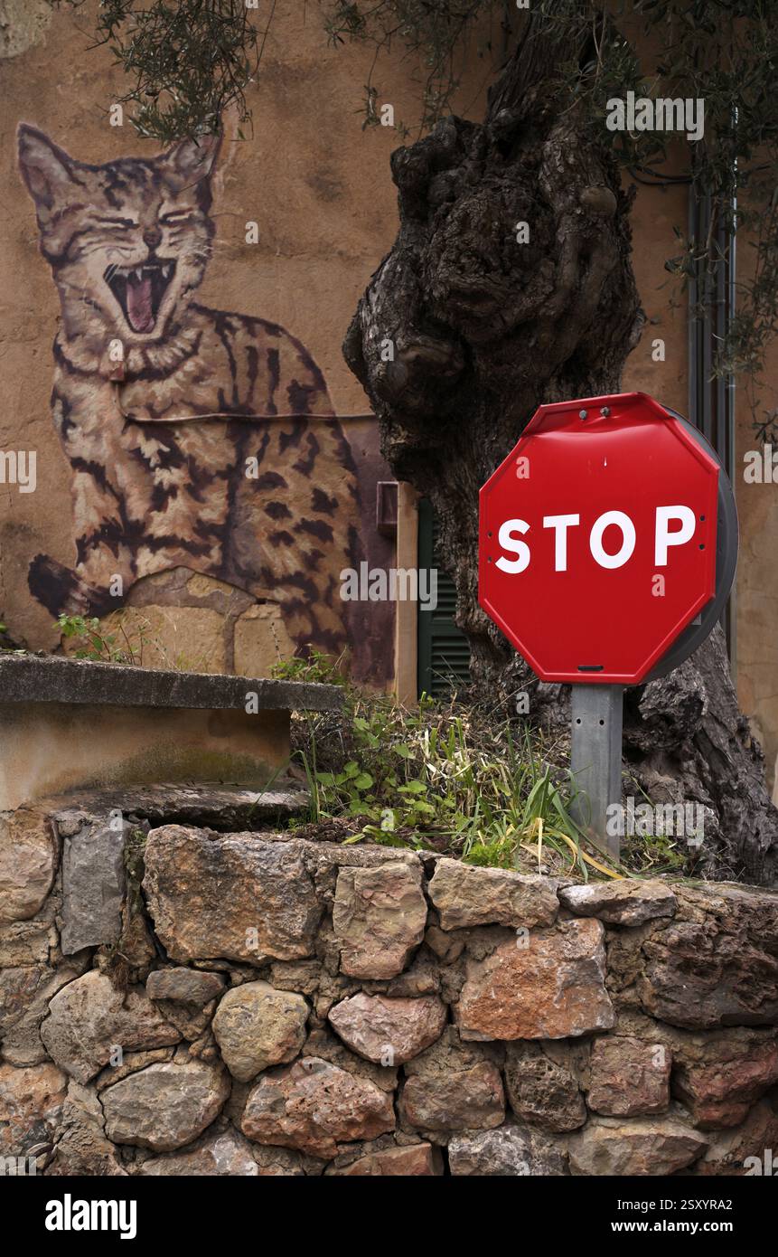 Graffiti Katze, Hauswand, Verkehrsschild, STOPP, Stoppschild, Künstlerdorf Deia, Tramuntana-Berge, Serra de Tramuntana, Mallorca, Balearen, B Stockfoto