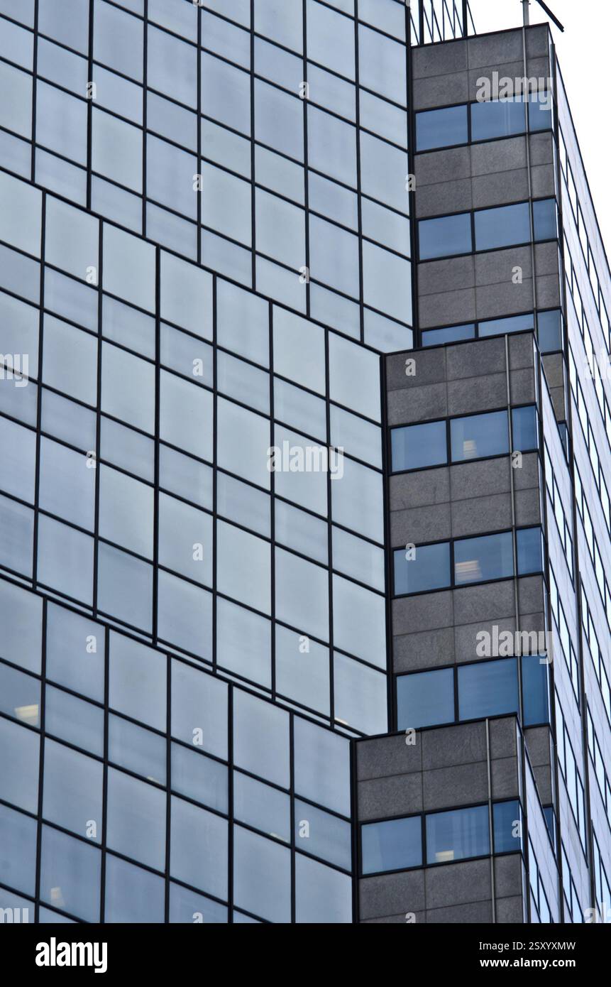 Baumuster, Manhattan, New york, usa Stockfoto