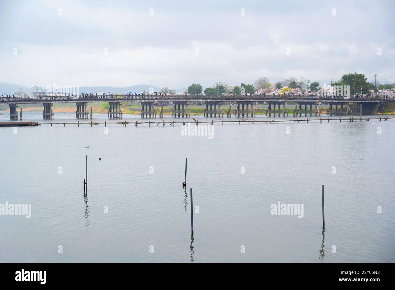 Touristen an der Togetsu-kyo-Brücke, einer Holzbrücke, die den Katsura-Fluss vor den Arashiyama-Bergen in Kyoto, Japan überspannt. Stockfoto