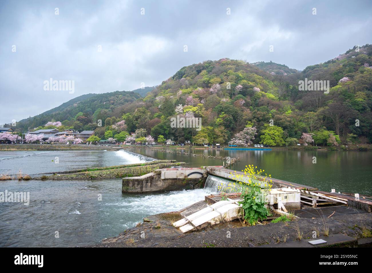 Touristen an der Togetsu-kyo-Brücke, einer Holzbrücke, die den Katsura-Fluss vor den Arashiyama-Bergen in Kyoto, Japan überspannt. Stockfoto