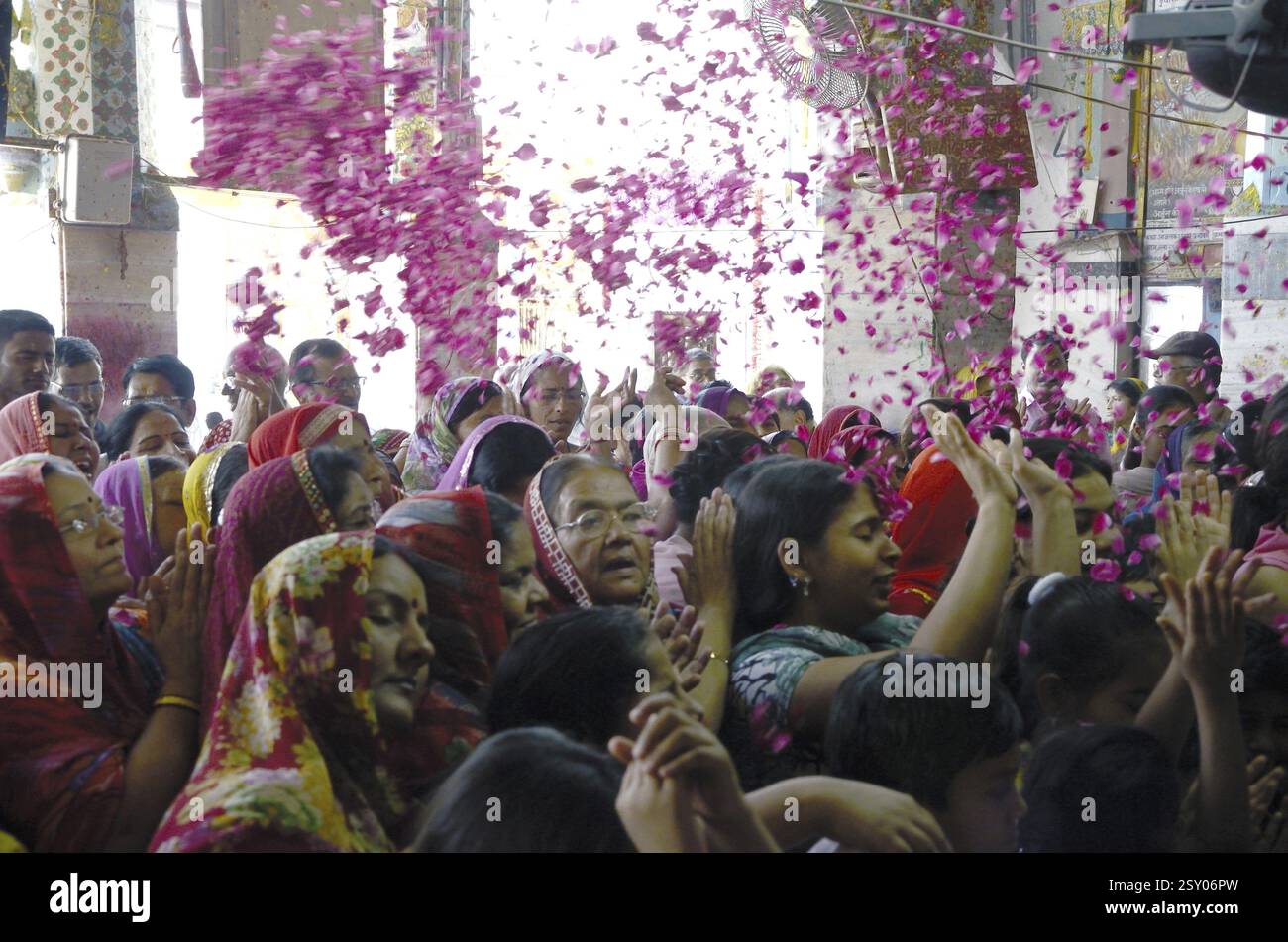 Frauen in Gang Shyamji Tempel in Rajasthan Indien vertieft der Basantotsav Anlass Stockfoto