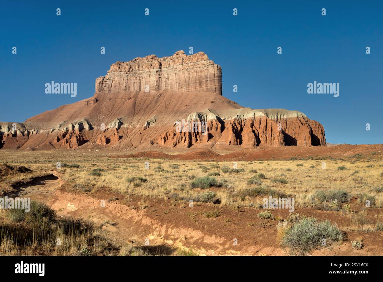 Wildes Pferd Butte Stockfoto