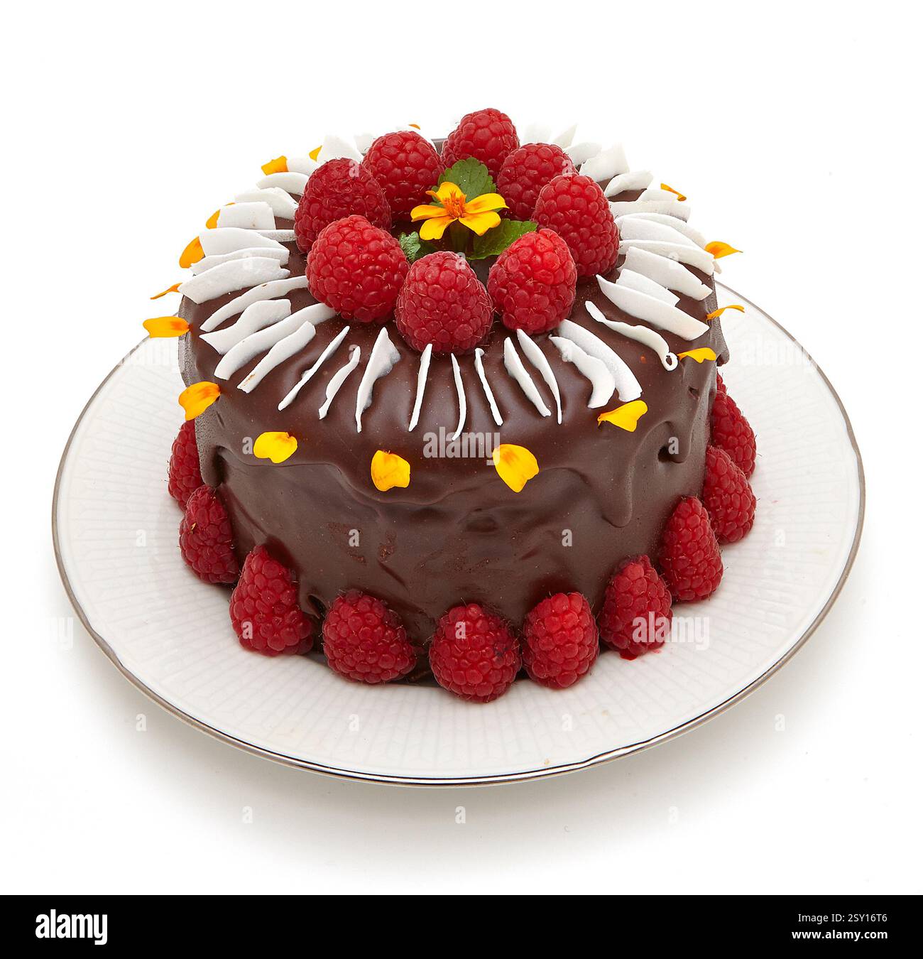Studio-Foto von Schokoladenkuchen mit Himbeeren. Foto Bo Arrhed Stockfoto