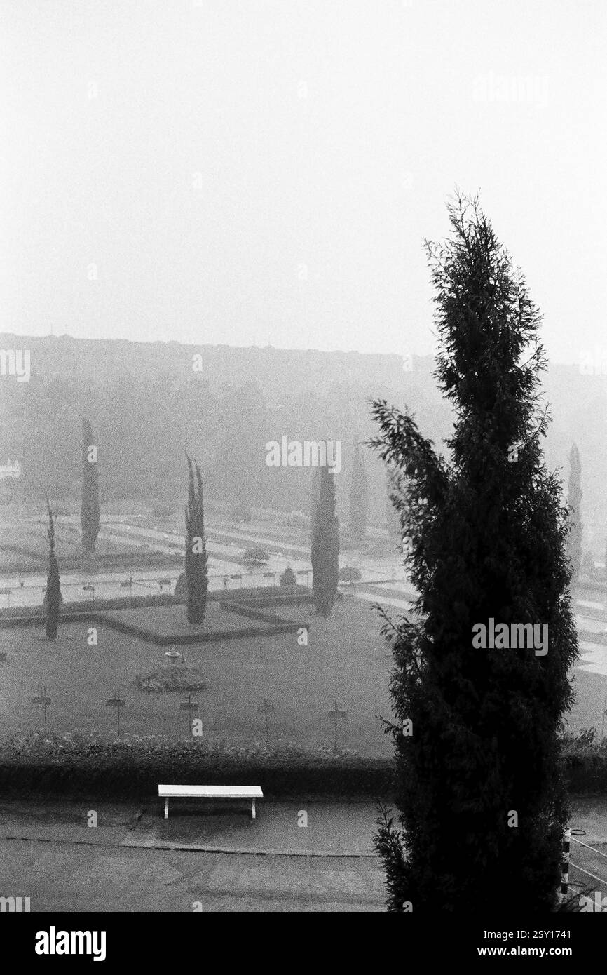 Bäume und leere Bank Brindavan Gardens Mysore Karnataka Indien Asien 1977 Stockfoto