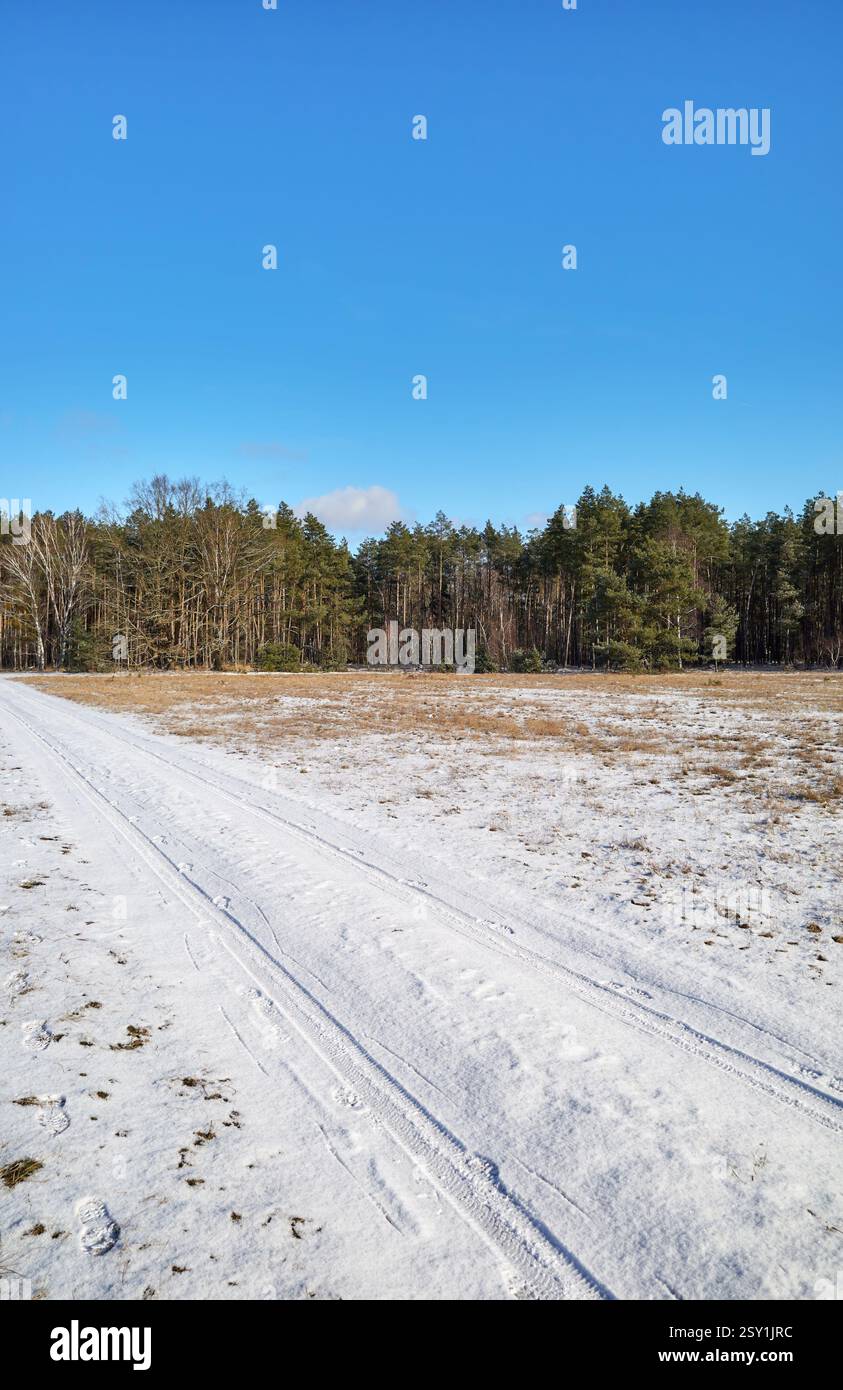 Winterlandschaft mit Wald und Lichteinfall, Woiwodschaft Westpommern, Polen. Stockfoto