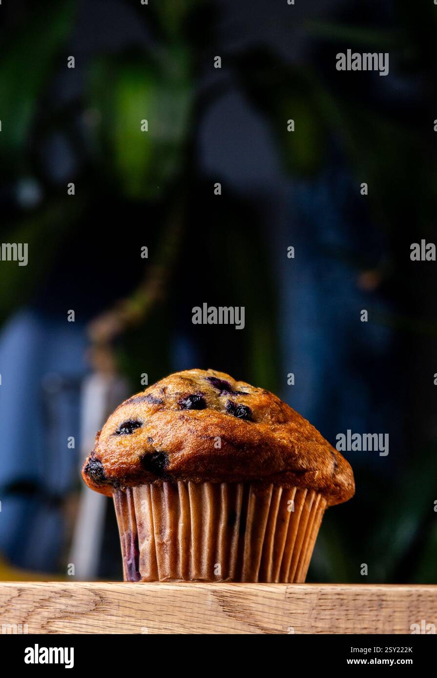 Blaubeermuffin von einer Seite auf einer Holztheke mit grünem und blauem Hintergrund Stockfoto
