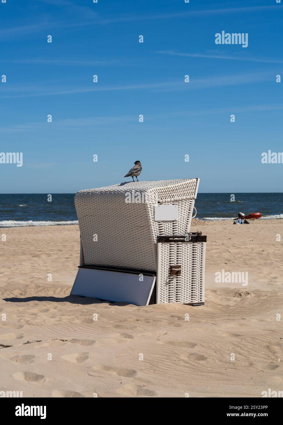 Die traditionelle weiße Strandcorb steht an der Ostseeküste. Wicker Chaiselongen mit Kapuze am Ostseestrand Usedom, Deutschland Stockfoto