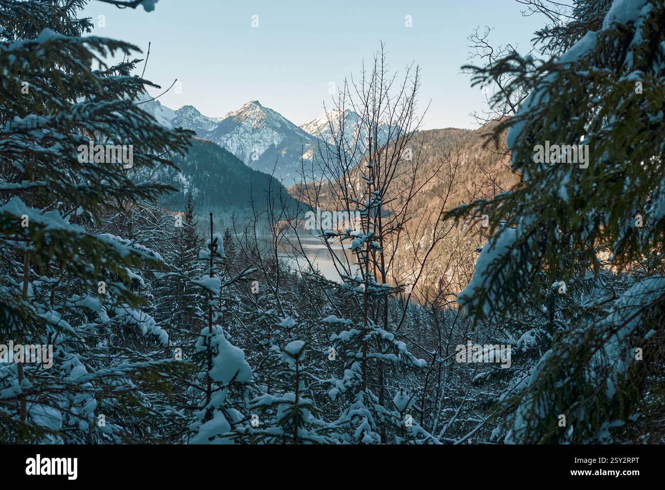 Dieses hochauflösende Foto zeigt eine ruhige Winterlandschaft in einer bergigen Alpenregion, wahrscheinlich in Europa. Das Bild zeigt eine malerische Stockfoto