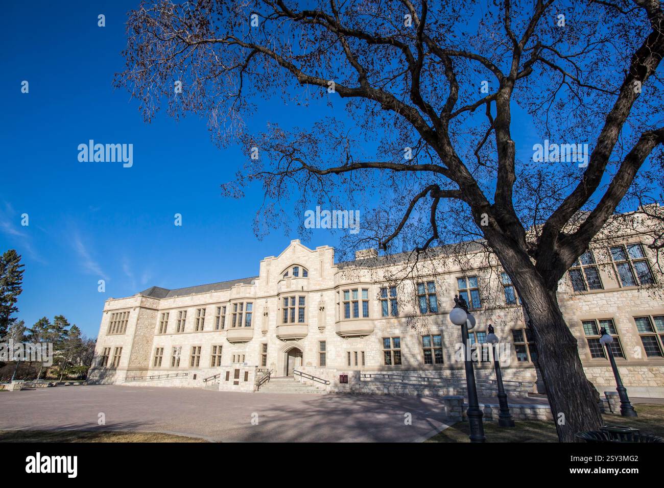 Großes Gebäude mit einem Baum davor. Das Gebäude ist weiß und hat viele Fenster Stockfoto