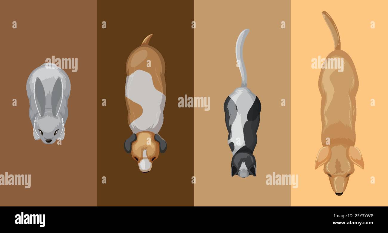 Abbildung von Kaninchen, Hunden und Katzen von oben Stock Vektor