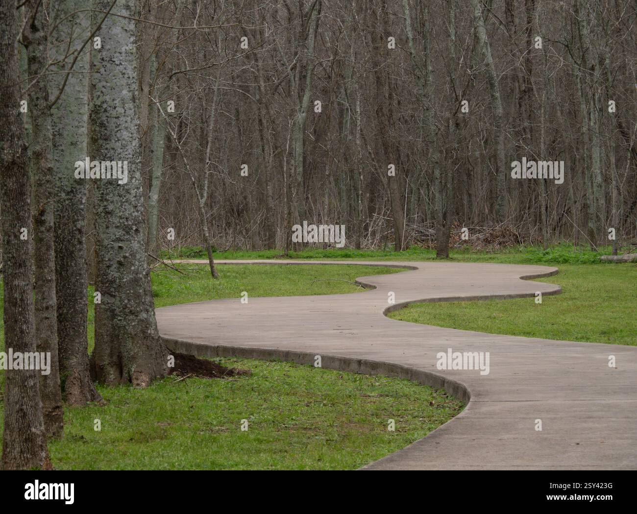 Blick auf einen Betonsteg durch einen Laubwald im Cullinan Park in Sugar Land, Texas. Stockfoto