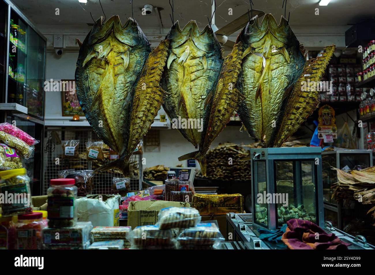 Jaffna. Februar 2025. Dieses Foto, aufgenommen am 22. Februar 2025, zeigt Meeresfrüchte in einem Geschäft in Jaffna, Sri Lanka. Jaffna liegt im Norden Sri Lankas und ist eine Küstenstadt, die während eines langen Bürgerkriegs schwer verwüstet wurde. Heute haben die Menschen hier ein neues Leben aufgenommen. Quelle: Chen Dongshu/Xinhua/Alamy Live News Stockfoto