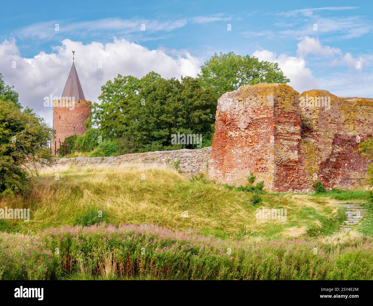 Ruinen der Burg Vordingborg und des Gänsenturms in der Stadt Vordingborg, Südseeland, Dänemark Stockfoto