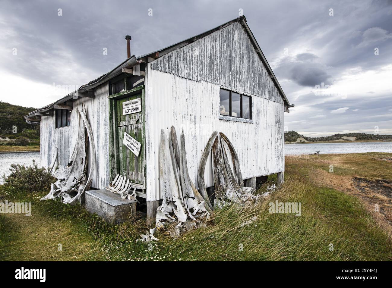 Walskelette vor Estancia Harberton, Beagle Channel, Ushuaia, Argentinien, Südamerika Stockfoto
