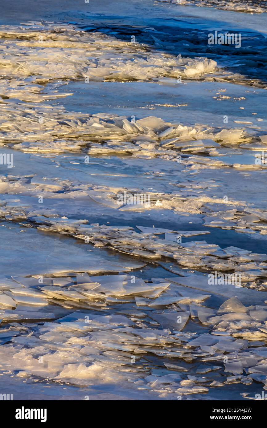 Die gefrorene Kunstfertigkeit der Natur – zarte Eisblumen erheben sich aus dem Fluss, geformt von fließendem Wasser, das in goldenes Sonnenlicht getaucht ist Stockfoto