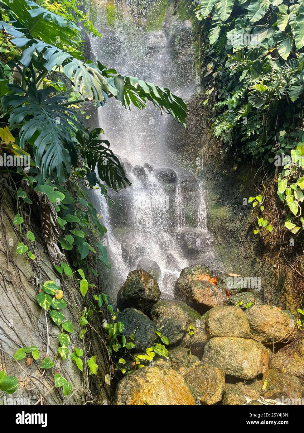 Ruhiger Mini-Wasserfall - Smartphone-aufgenommenes Stockfoto