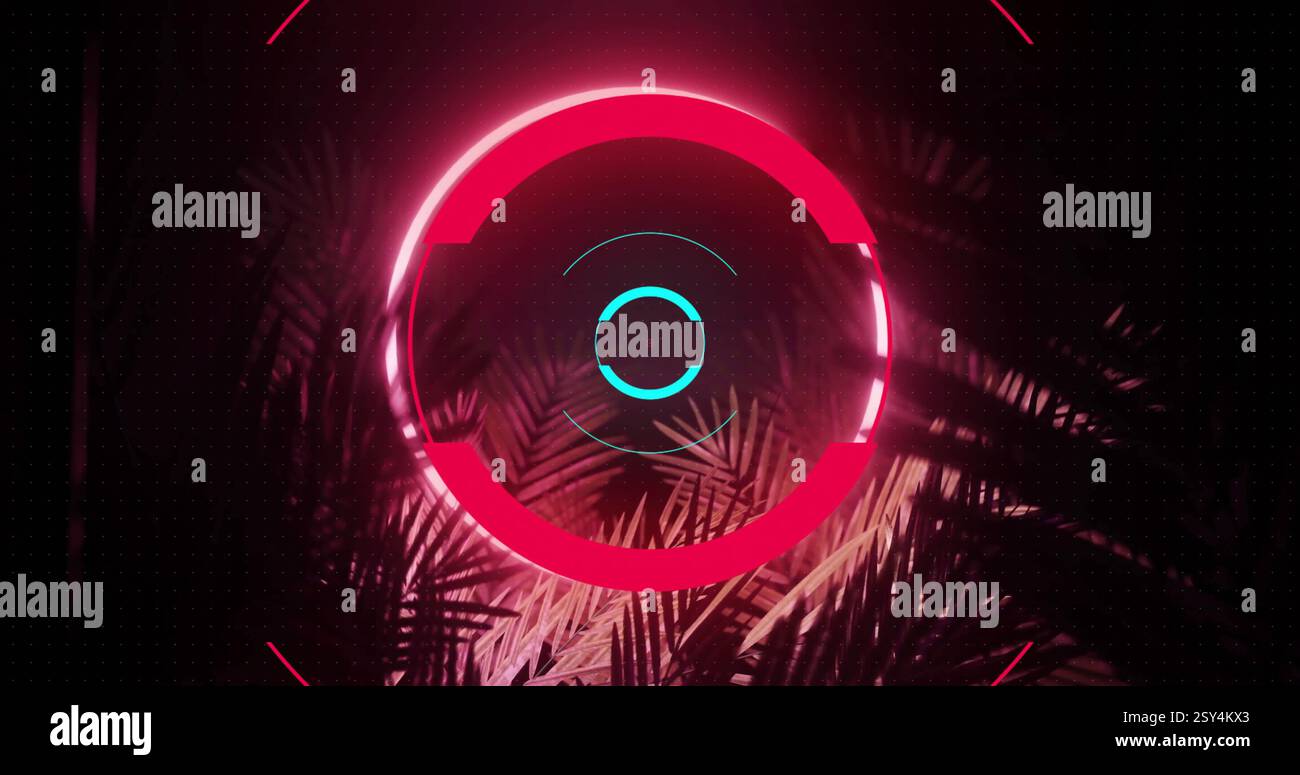 Bild des Neonkreises und der Blätter auf schwarzem Hintergrund Stockfoto