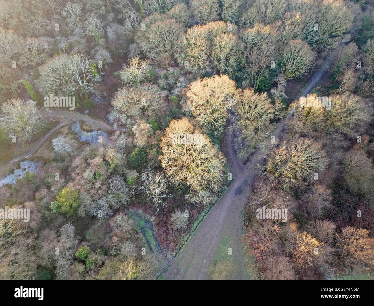 Aus der Vogelperspektive des rusthalls, das am Rande der tunbridge Brunnen in kent üblich ist Stockfoto