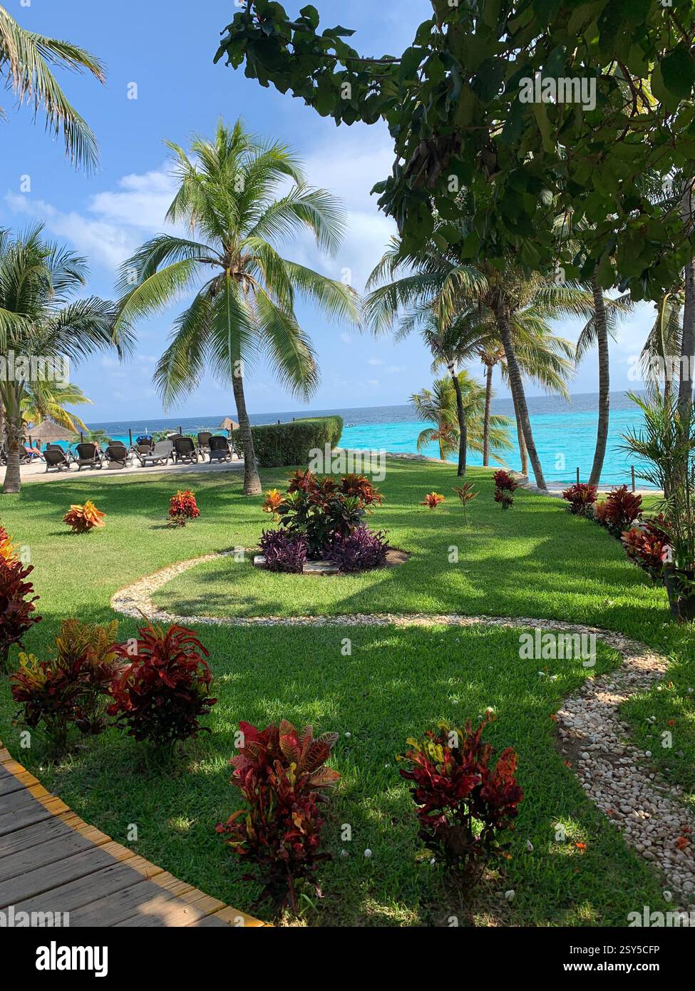 Paradies gefunden! 🌴✨ sich wiegende Palmen, türkisfarbenes Wasser und tropisches Flair – dies ist der ultimative Inselurlaub. Wer braucht noch so einen Urlaub? 🏝️🌊 - Smartphone-aufgenommenes Stockfoto