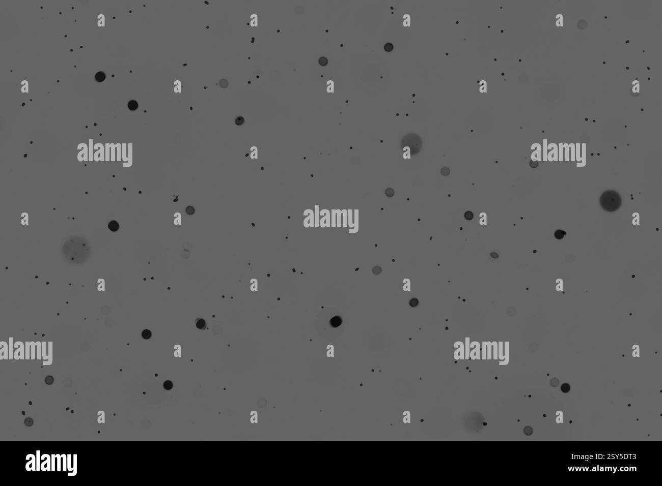 Abstrakter monochromer Hintergrund mit Streupartikelmuster Stockfoto