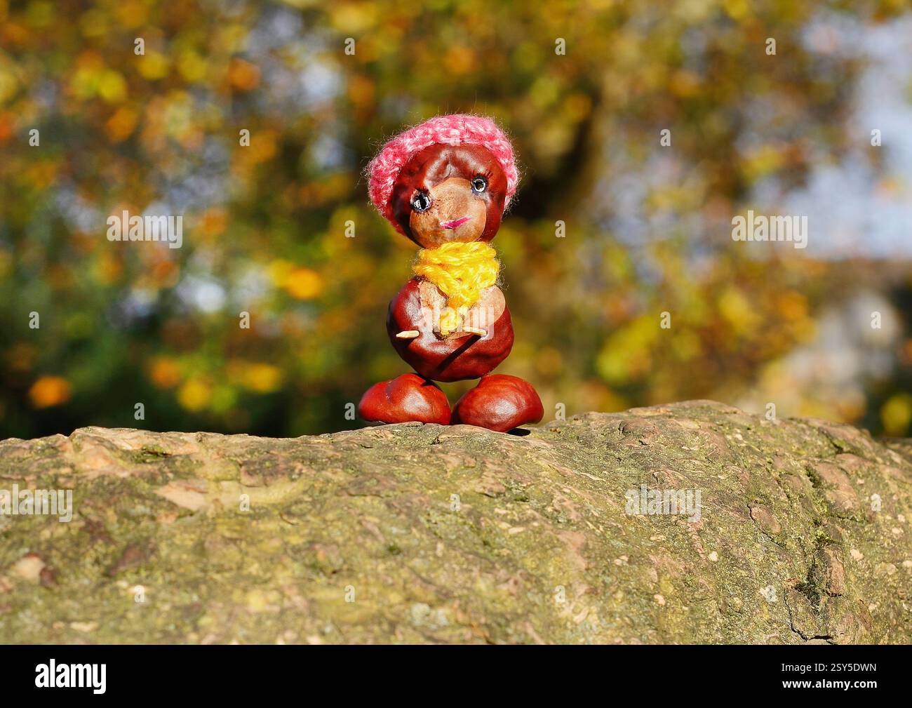 Lustige Kastanienfigur mit rotem Hut und gelbem Schal auf einem Baumstamm Stockfoto
