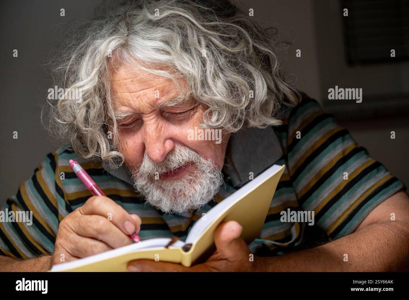 Ein älterer Mann mit lockigen grauen Haaren und Bart schreibt mit einem rosafarbenen Stift in ein Notizbuch, trägt ein gestreiftes Hemd und konzentriert sich zutiefst auf seine Gedanken. Stockfoto