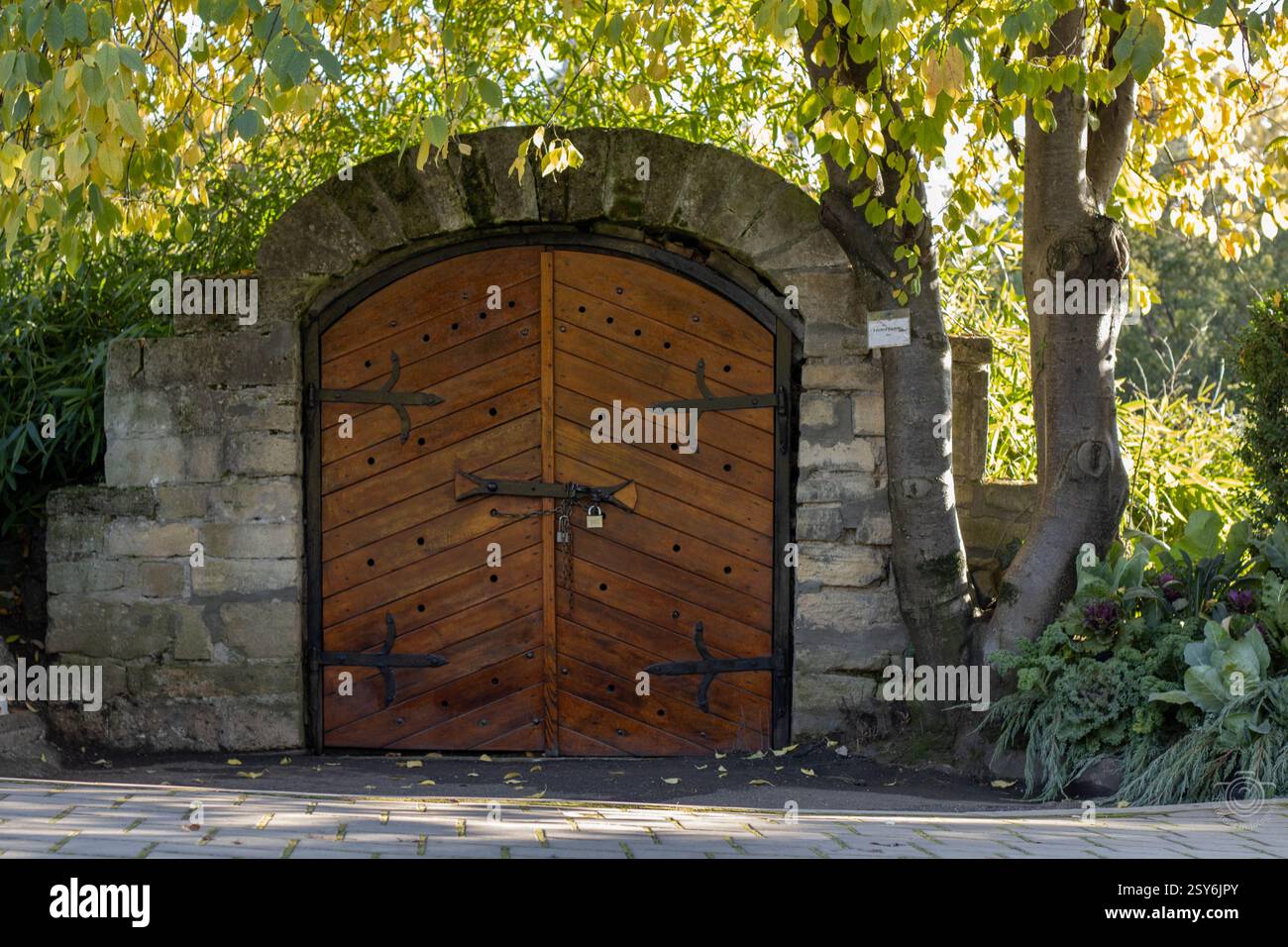 Alte Holztür mit Metallrahmen, die zu einem Steinkeller führt, unterirdisch, umgeben von Bäumen im Park des botanischen Gartens, im Schatten Stockfoto
