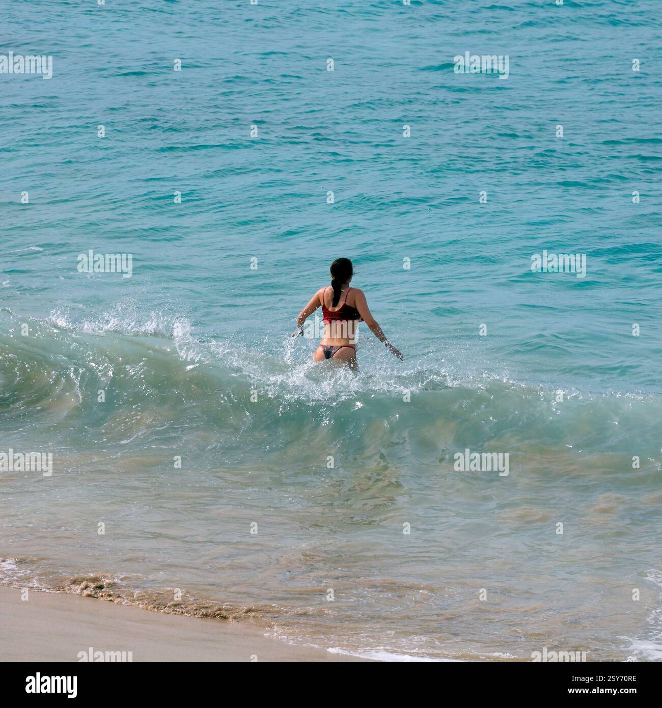Junge Frau mit Bikini, die ins Meer geht, Fuerteventura, die Kanarischen Inseln, Spanien. Angenommen Im Dezember Stockfoto