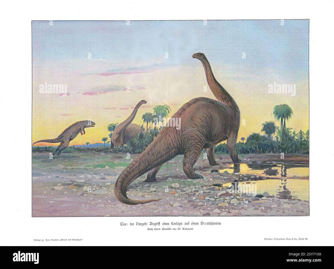 Prähistorische Tiere: Angriff eines Laelap auf einen Brontosaurus aus der Weltall und Menschheit Encyclopedia 1900, Holzgravierung. Tiere der urzeit: Angriff eines Laelaps auf einen Brontosaurus Stockfoto