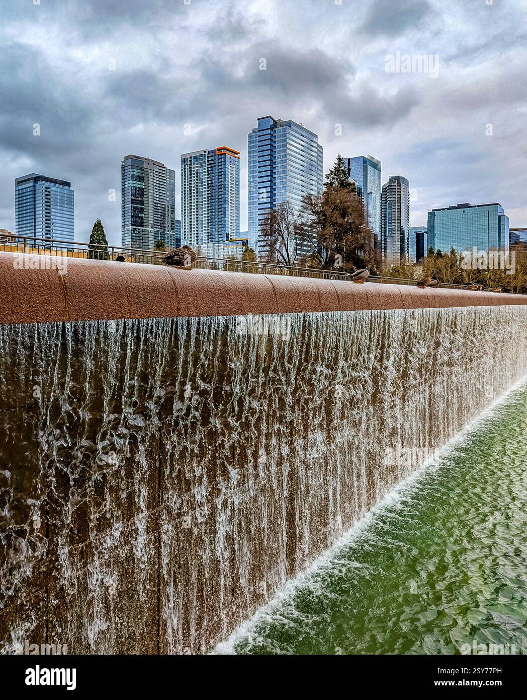 Bellevue City Park Wasserfall. Details aufgenommen. Stockfoto