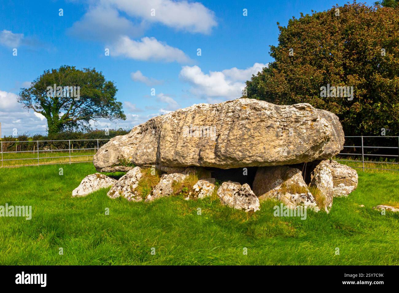 Lligwy Burial Chamber, eine neolithische Grabkammer in Lligwy, nahe der Ostküste von Anglesey, Wales, Vereinigtes Königreich. Stockfoto