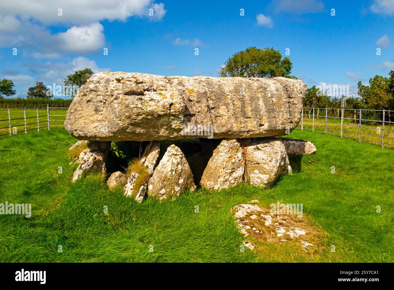 Lligwy Burial Chamber, eine neolithische Grabkammer in Lligwy, nahe der Ostküste von Anglesey, Wales, Vereinigtes Königreich. Stockfoto