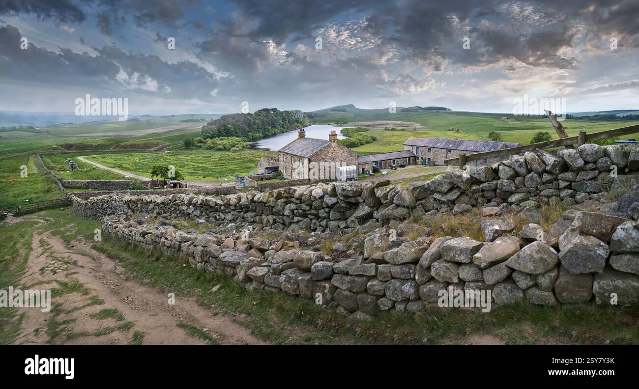 Foto einer traditionellen Steinfarm in Northumberlan an der Hadrians Wall in der Nähe von Houseteads Roman Fort, Vercovicium, Northumberland, England, Großbritannien. Stockfoto