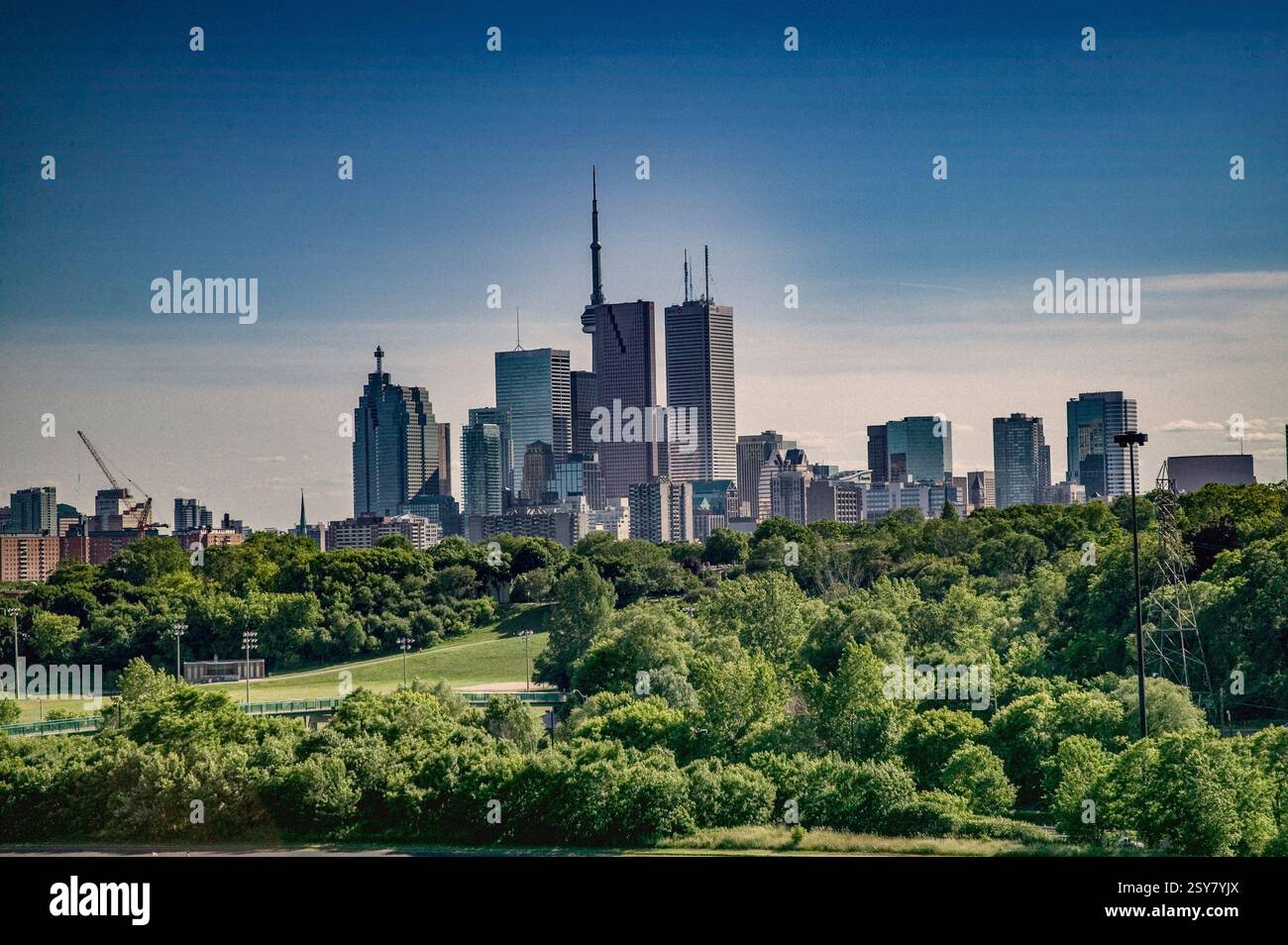 Die Skyline von Toronto, Kanada Stockfoto