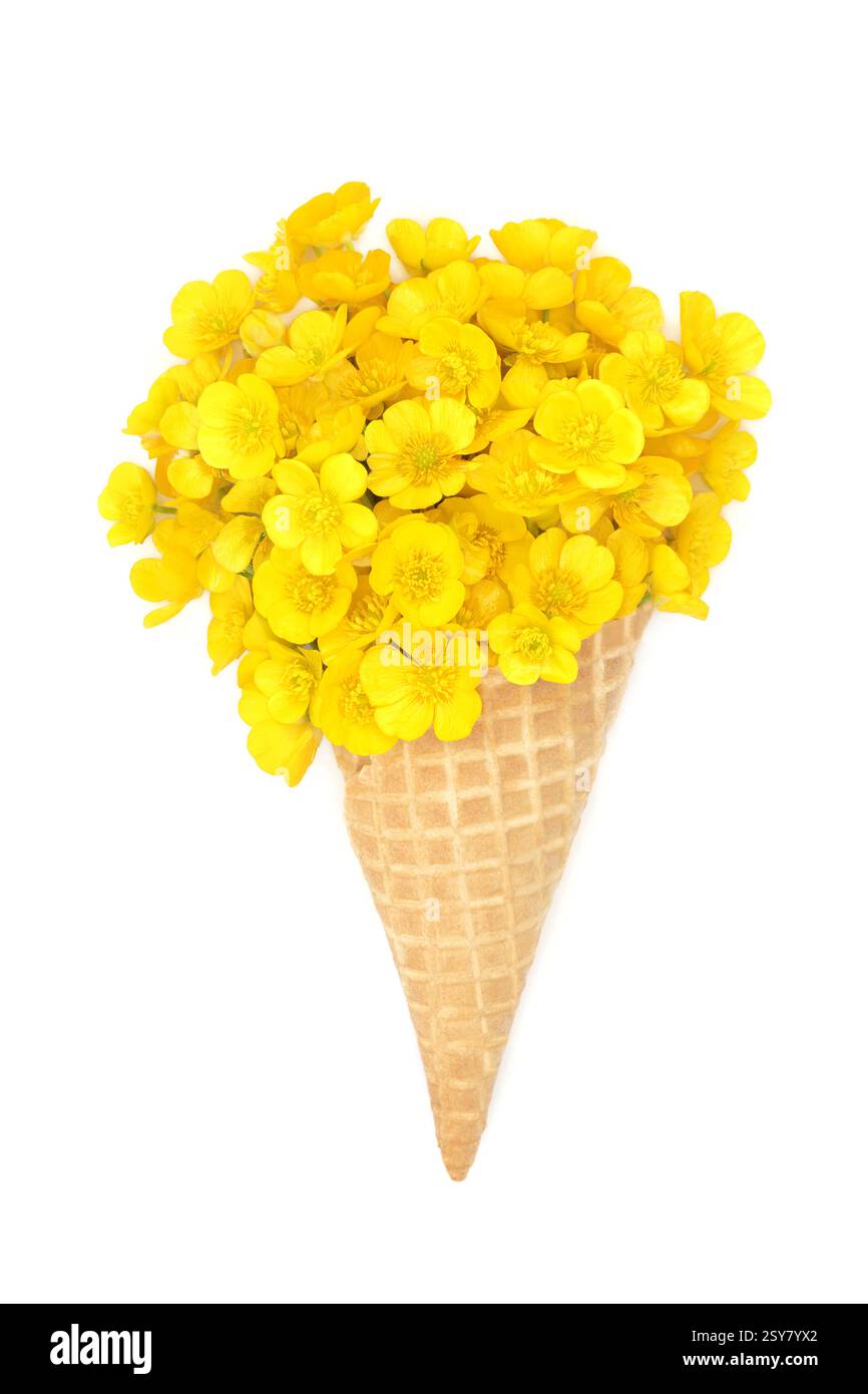 Surrealer Spaß Sommer Buttercup Blume Eis Kornett auf weißem Hintergrund. Sonniges Gelb Natur Blumen Lebensmittel Kunst Komposition für Logo, Grußkarte. Stockfoto