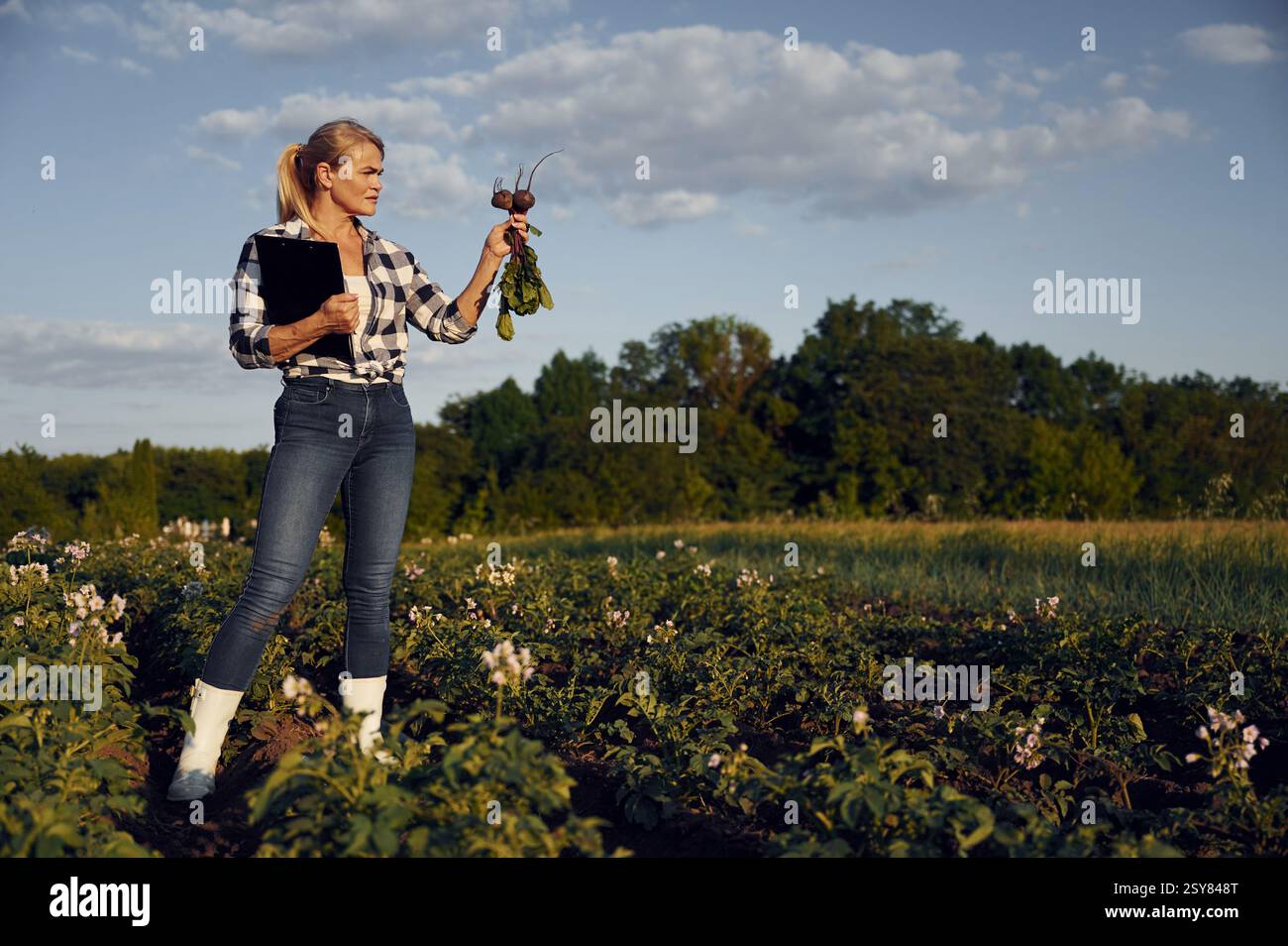 Mit Notizblock und Rote Bete. Die Frau ist tagsüber auf dem Ackerfeld. Stockfoto