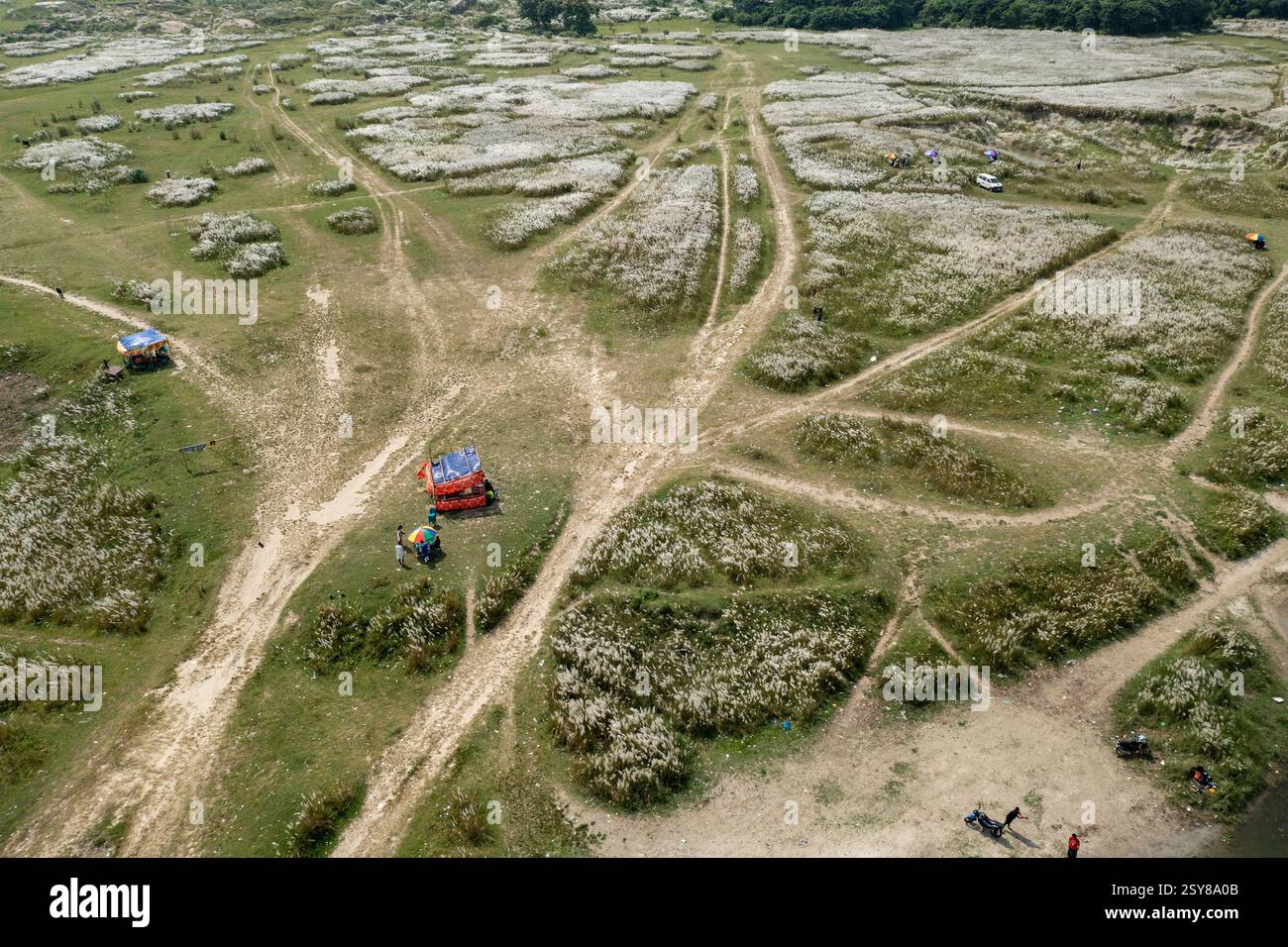 Ein Blick aus der Vogelperspektive auf eine riesige Landschaft, die mit blühenden Kans-Grasblumen bedeckt ist und den Herbst am Stadtrand von Dhaka, Bangladesch, signalisiert. Stockfoto