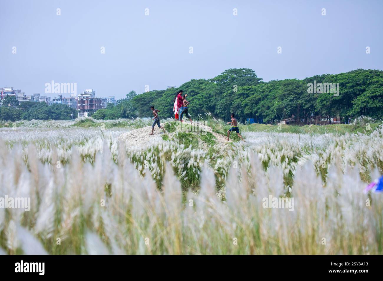 Die Menschen tauchen ein in die Schönheit der blühenden Kans-Grasblumen und feiern das Wesen des Herbstes am Stadtrand von Dhaka, Bangladesch. Stockfoto