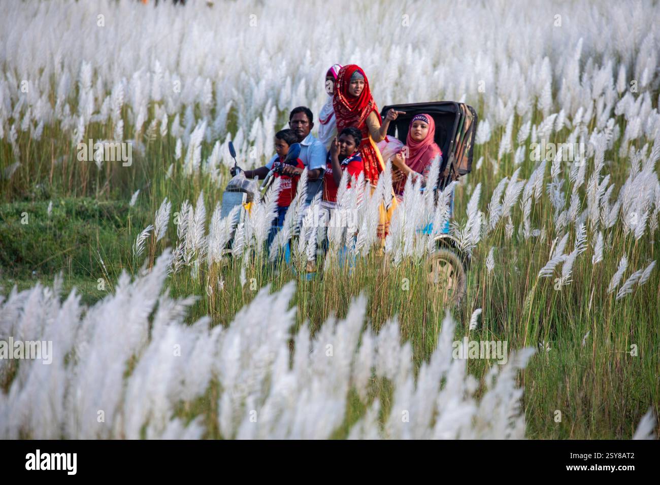 Die Menschen tauchen ein in die Schönheit der blühenden Kans-Grasblumen und feiern das Wesen des Herbstes am Stadtrand von Dhaka, Bangladesch. Stockfoto