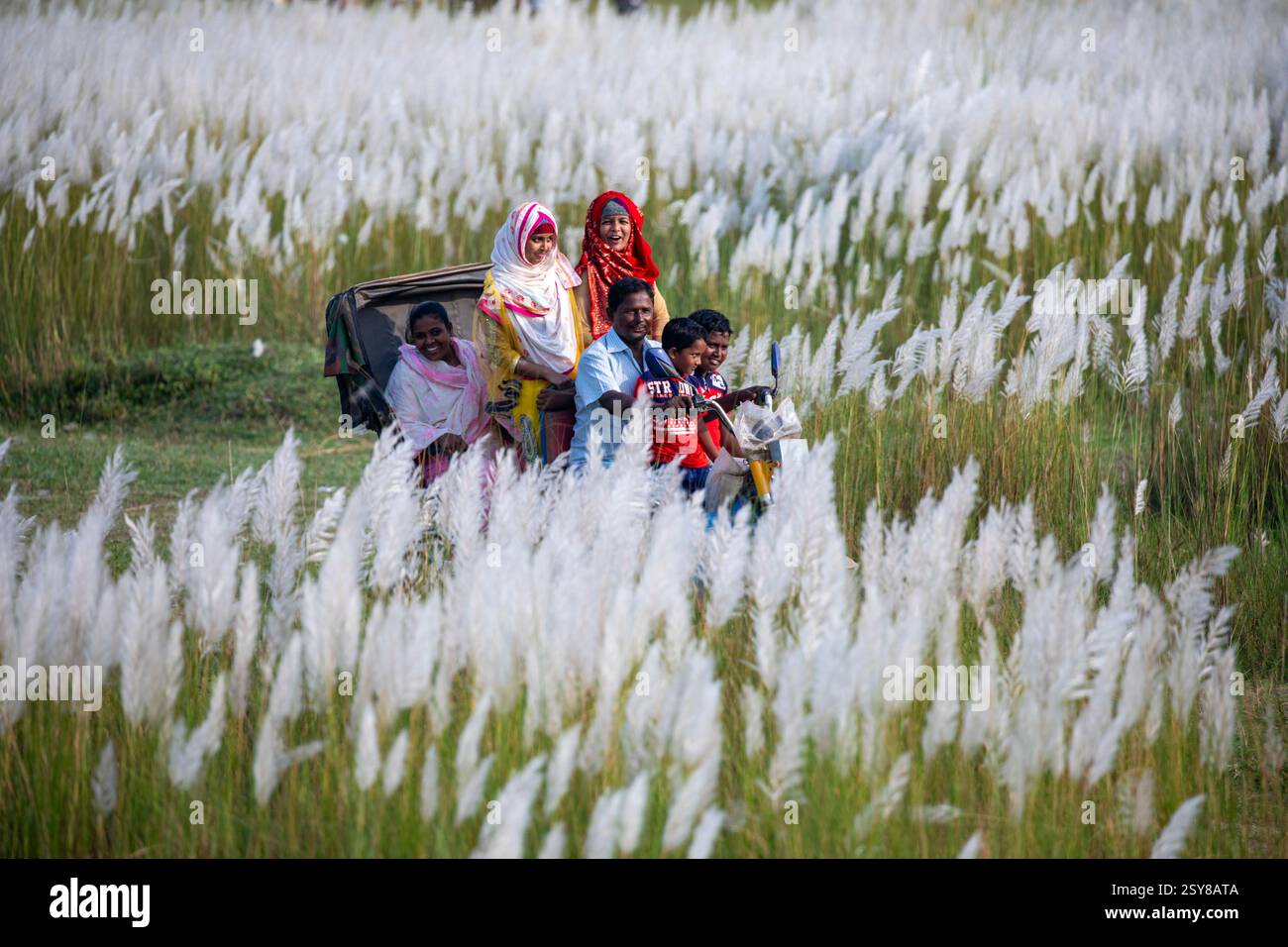 Die Menschen tauchen ein in die Schönheit der blühenden Kans-Grasblumen und feiern das Wesen des Herbstes am Stadtrand von Dhaka, Bangladesch. Stockfoto