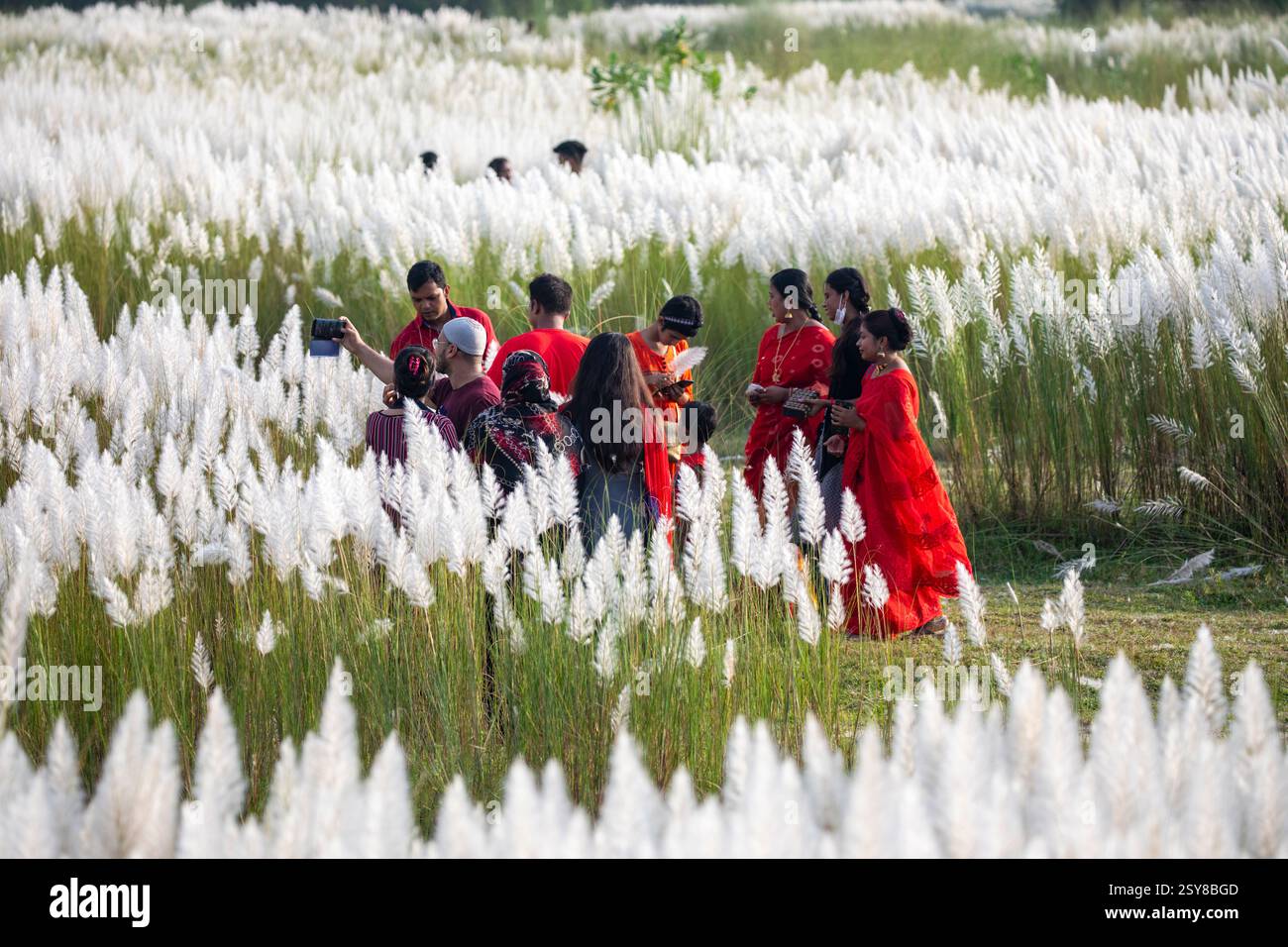 Die Menschen tauchen ein in die Schönheit der blühenden Kans-Grasblumen und feiern das Wesen des Herbstes am Stadtrand von Dhaka, Bangladesch. Stockfoto