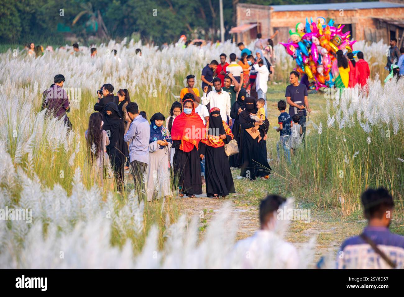 Die Menschen tauchen ein in die Schönheit der blühenden Kans-Grasblumen und feiern das Wesen des Herbstes am Stadtrand von Dhaka, Bangladesch. Stockfoto