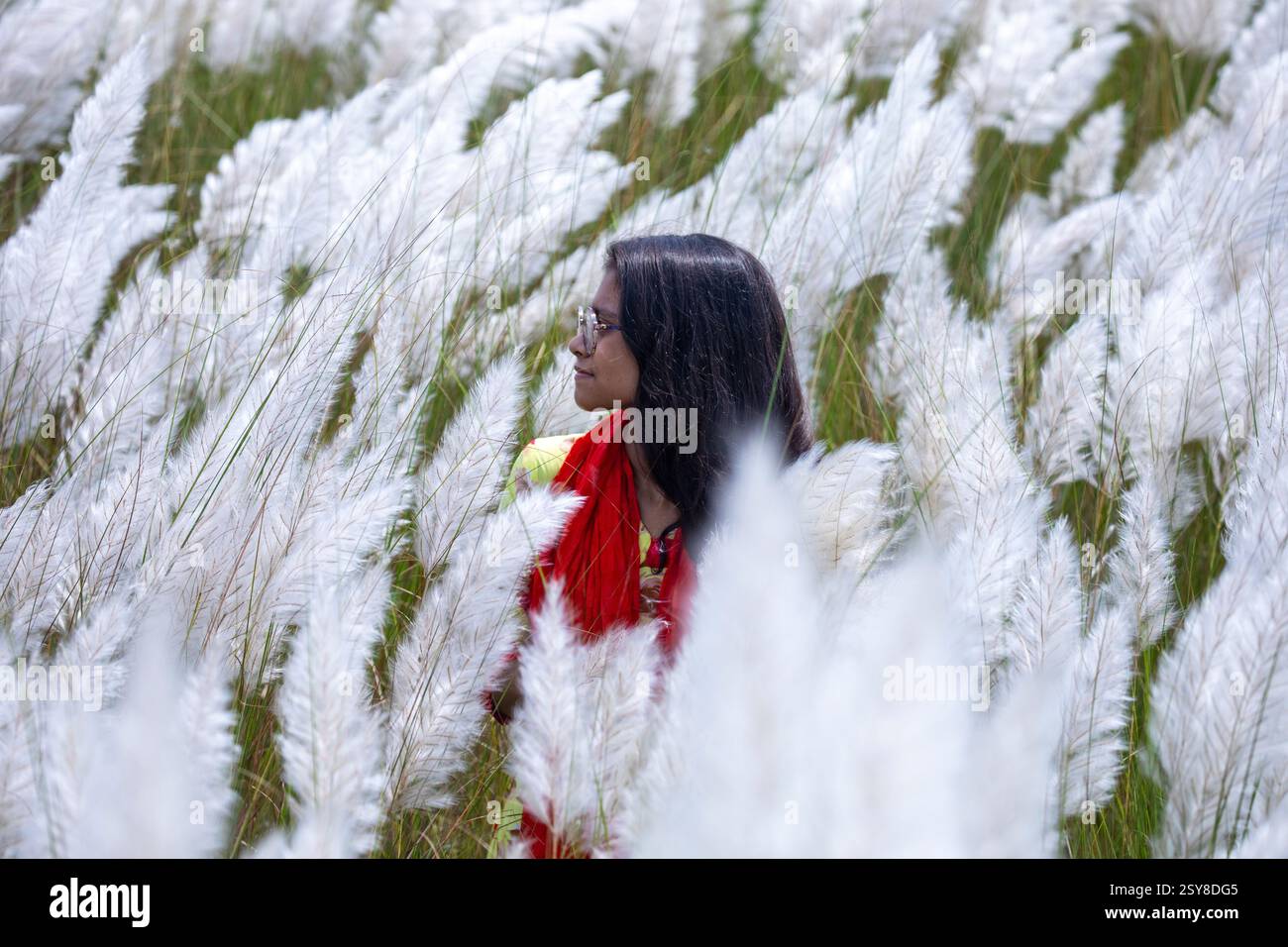 Eine fröhliche junge Frau genießt die Schönheit der blühenden Kans-Grasblumen, die das Wesen des Herbstes am Stadtrand von Dhaka, Bangladesch, genießen. Stockfoto